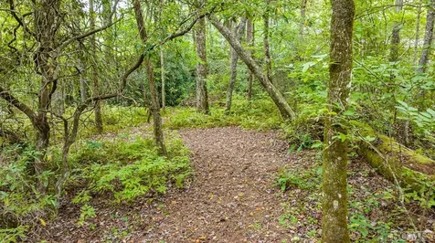 32 Footbridge Drive Cashiers NC 28717