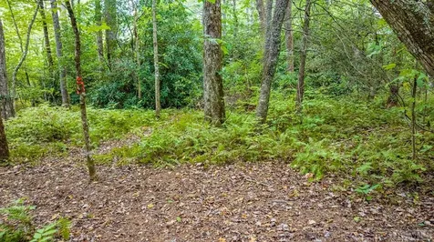 32 Footbridge Drive Cashiers NC 28717