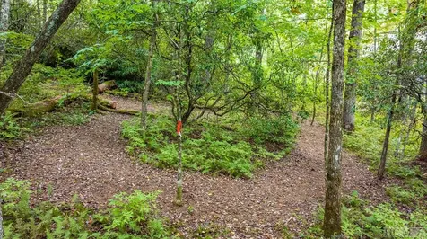 32 Footbridge Drive Cashiers NC 28717