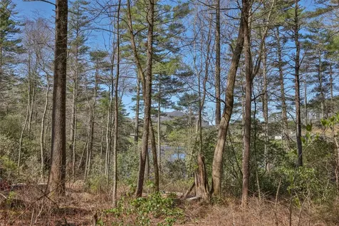 32 Footbridge Drive Cashiers NC 28717