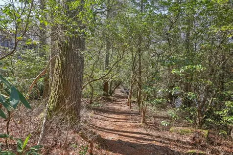 32 Footbridge Drive Cashiers NC 28717