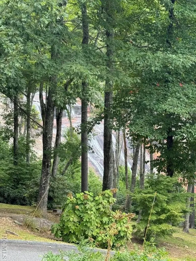 30 Lower Tanglewood Road E Lake Toxaway NC 28747