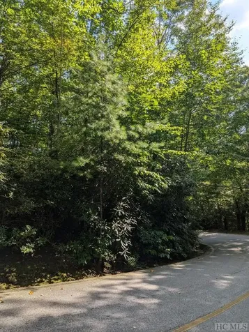 Lot 116 Buckberry Drive North Sapphire NC 28774
