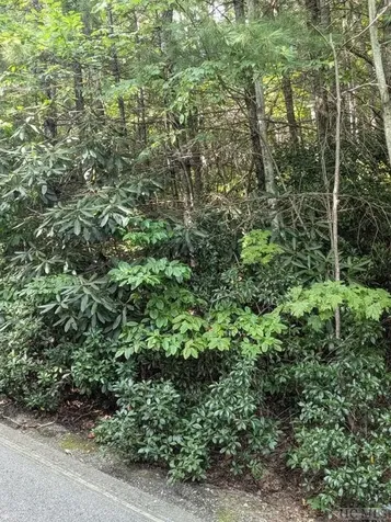 Lot 116 Buckberry Drive North Sapphire NC 28774