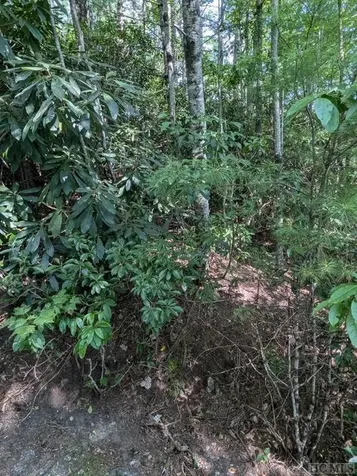 Lot 116 Buckberry Drive North Sapphire NC 28774