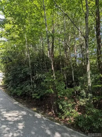 Lot 116 Buckberry Drive North Sapphire NC 28774