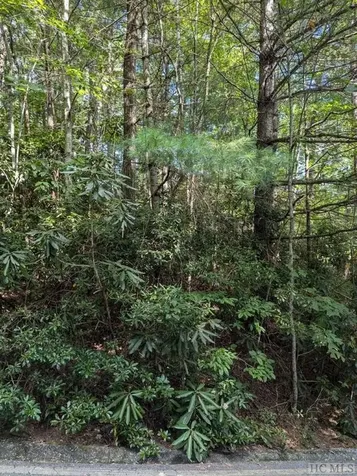 Lot 116 Buckberry Drive North Sapphire NC 28774