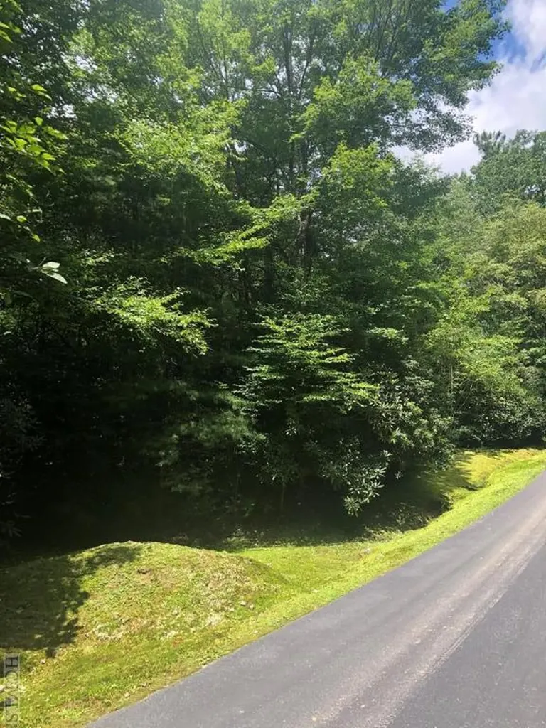 Tbd Club Drive Cashiers NC 28717