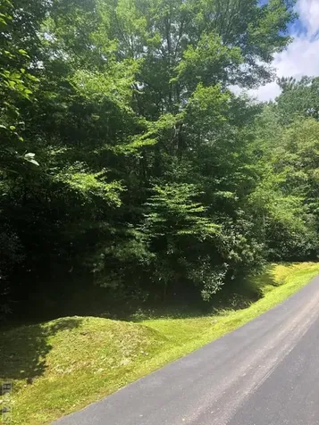Tbd Club Drive Cashiers NC 28717