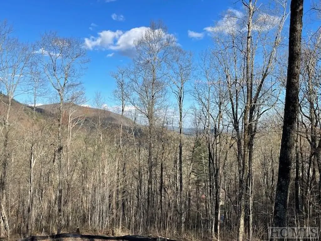 Lot 2 Frond Court Sapphire NC 28774