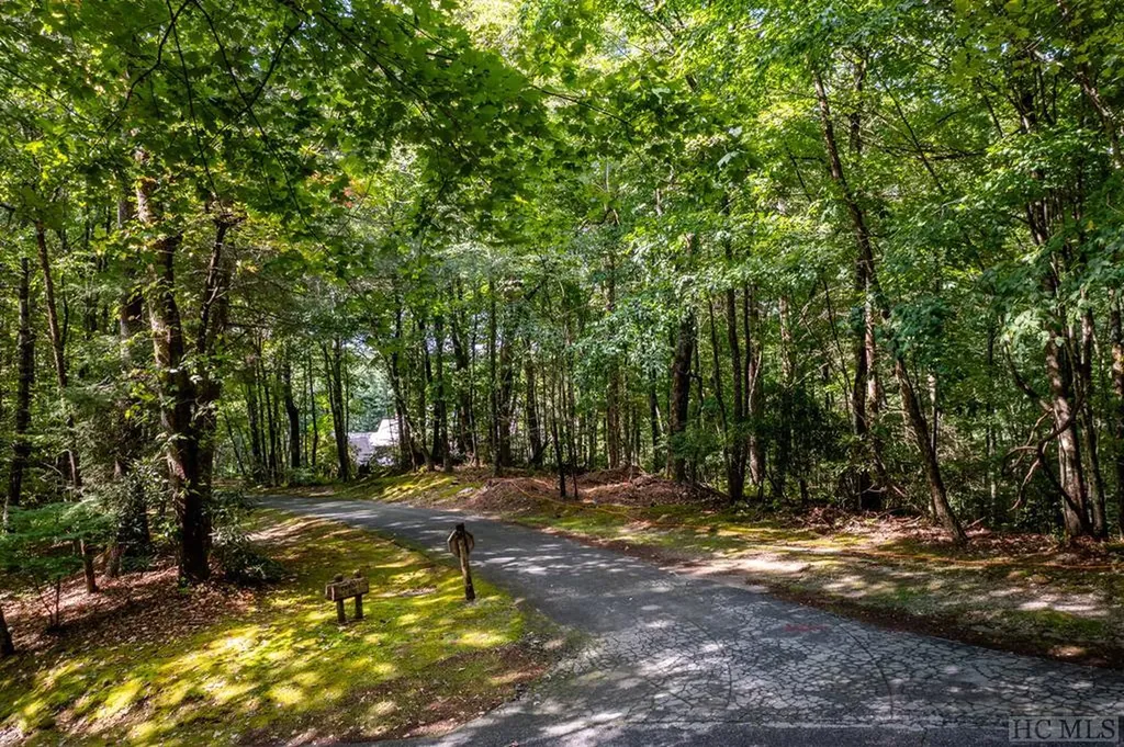 Lot R46 Canopy Lane Cashiers NC 28717