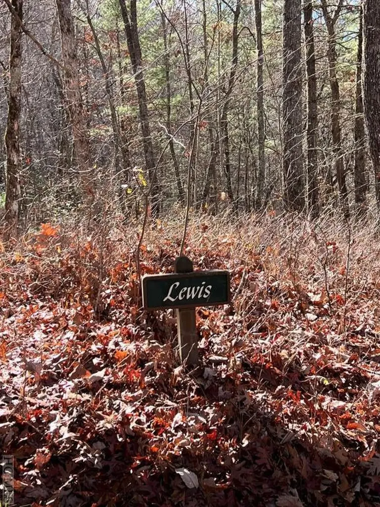 Lot 10 Shepherds Gap Road Cullowhee NC 28723