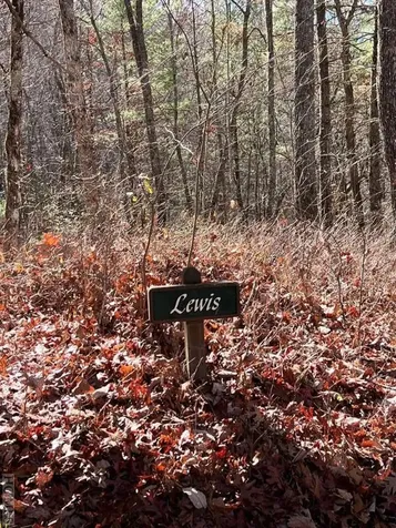 Lot 10 Shepherds Gap Road Cullowhee NC 28723