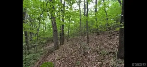 Lot 10 Shepherds Gap Road Cullowhee NC 28723