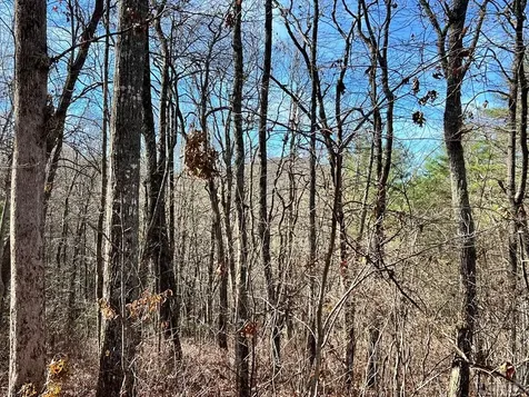 Lot 10 Shepherds Gap Road Cullowhee NC 28723