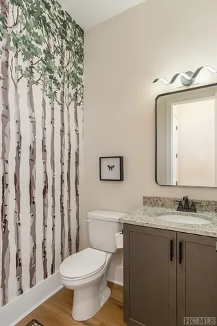 221 Ambleside Drive Sapphire NC 28774