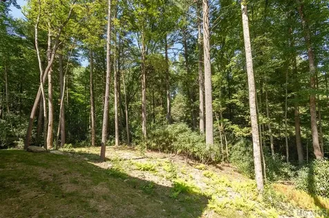 221 Ambleside Drive Sapphire NC 28774