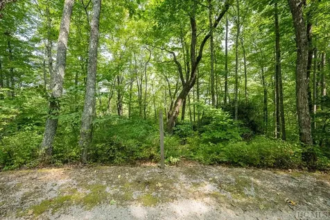 Lot 15 Horseshoe Bend Lane Cullowhee NC 28723