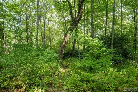 Lot 15 Horseshoe Bend Lane Cullowhee NC 28723
