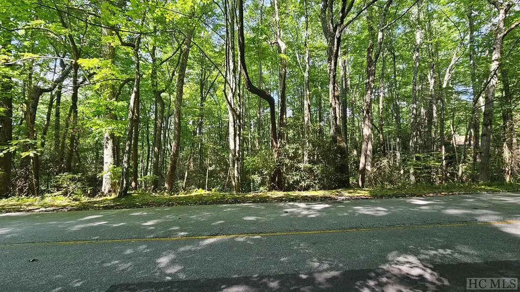 Lot 94 Black Oak Drive Sapphire NC 28774