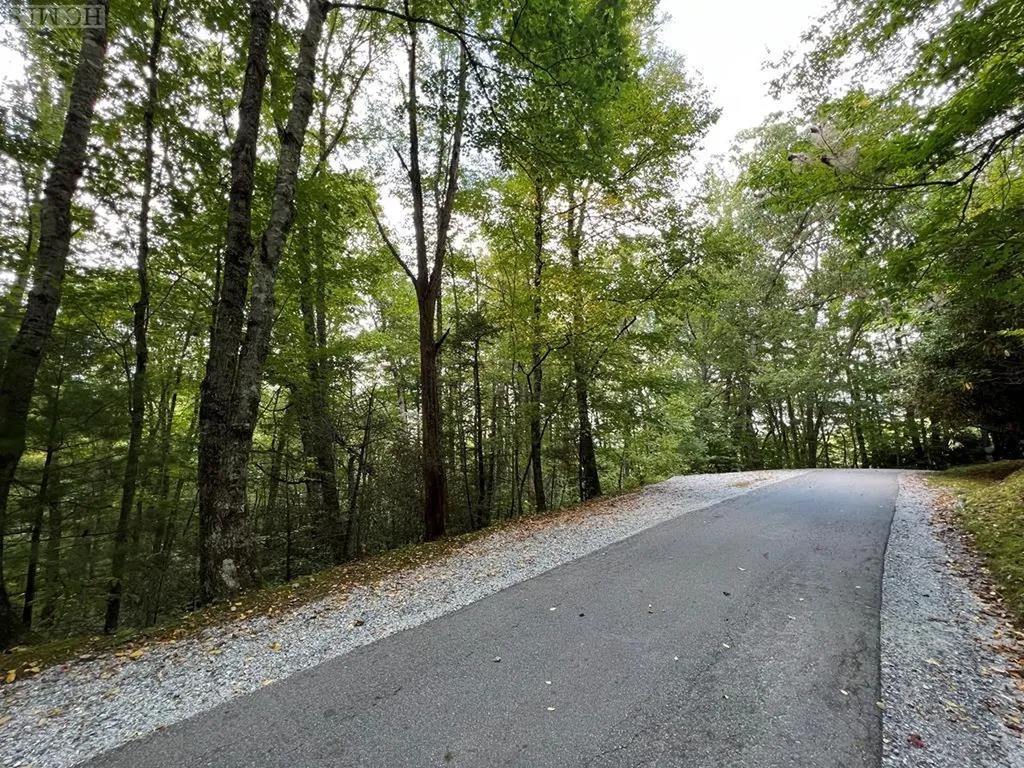 21 Woods Mountain Trail Cullowhee NC 28723