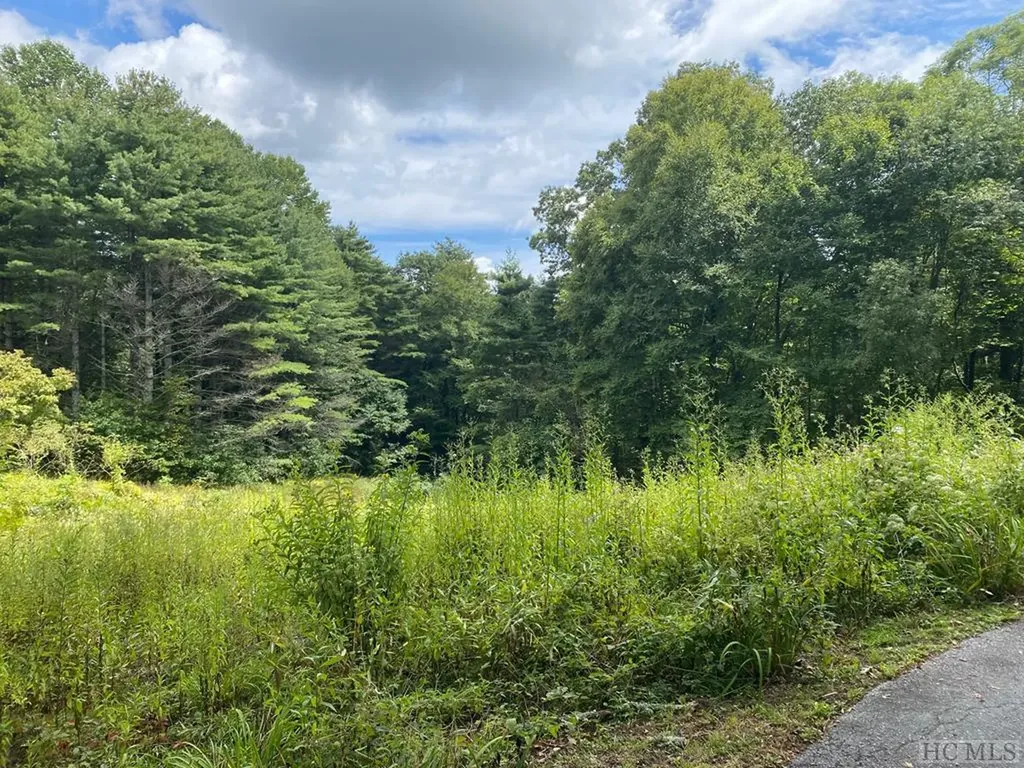 Tbd Dillard Road Highlands NC 28741