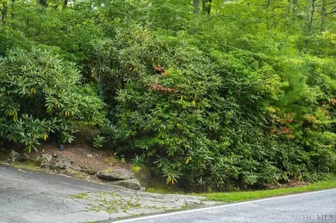 Lot 4b Cedar Creek Road Cashiers NC 28717