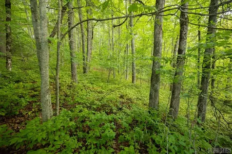 Lot 4b Cedar Creek Road Cashiers NC 28717