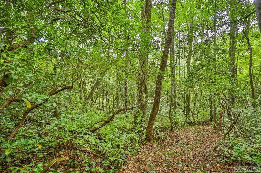 Lot 135 Rockhouse Falls Lane Sapphire NC 28774