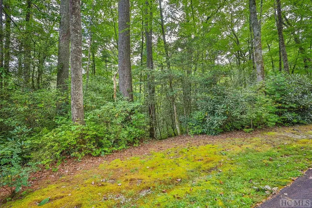 Lot 135 Rockhouse Falls Lane Sapphire NC 28774