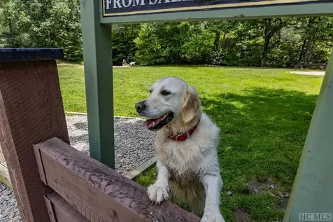 Lot 135 Rockhouse Falls Lane Sapphire NC 28774