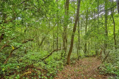 Lot 135 Rockhouse Falls Lane Sapphire NC 28774