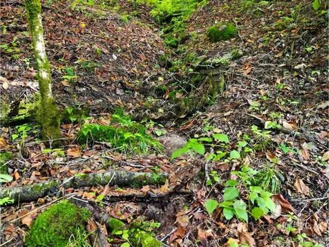 104 Tear Drop Lane Glenville NC 28736