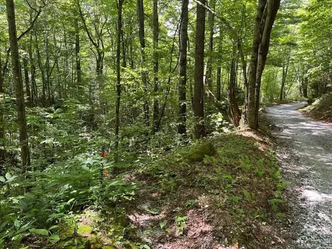 104 Tear Drop Lane Glenville NC 28736