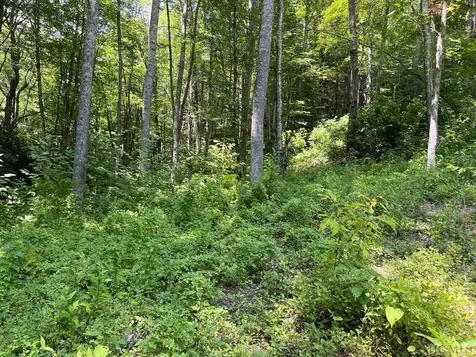 104 Tear Drop Lane Glenville NC 28736