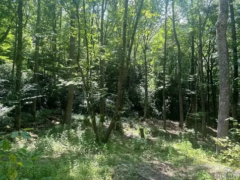 104 Tear Drop Lane Glenville NC 28736