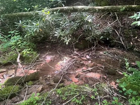 104 Tear Drop Lane Glenville NC 28736