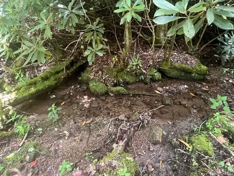 104 Tear Drop Lane Glenville NC 28736