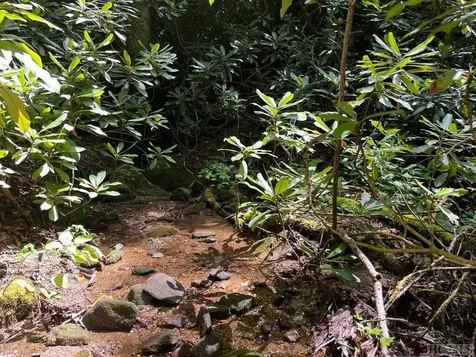 104 Tear Drop Lane Glenville NC 28736