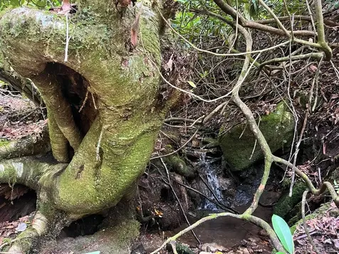 104 Tear Drop Lane Glenville NC 28736