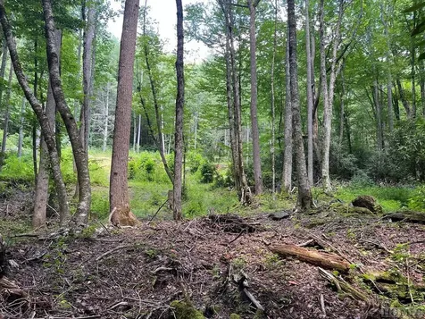 104 Tear Drop Lane Glenville NC 28736