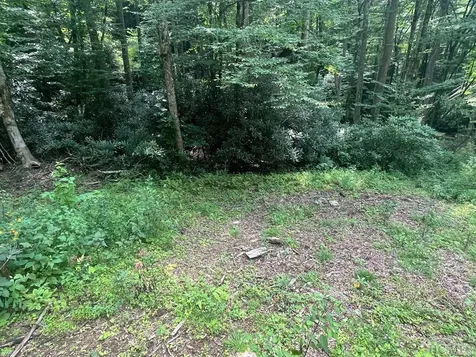 104 Tear Drop Lane Glenville NC 28736