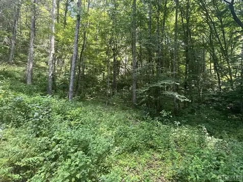 104 Tear Drop Lane Glenville NC 28736