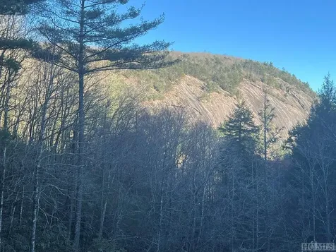 44 Mica Court Sapphire NC 28774