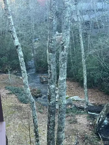 44 Mica Court Sapphire NC 28774