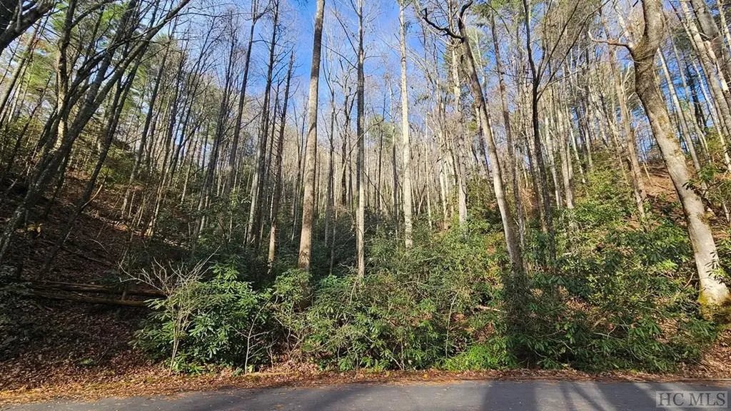 Lot 63 W Christy Trail Sapphire NC 28774