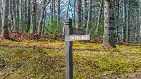 Lot 246 Audubon Trail Cashiers NC 28717