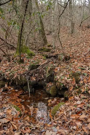 Lot 4 Broadview Lane Glenville NC 28736