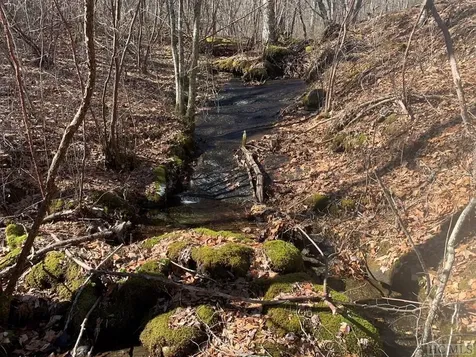 Lot 4 Broadview Lane Glenville NC 28736