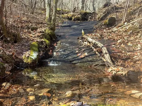 Lot 4 Broadview Lane Glenville NC 28736